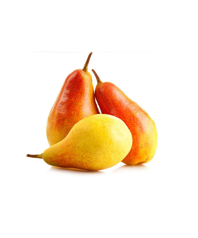 quis autem veleuminium