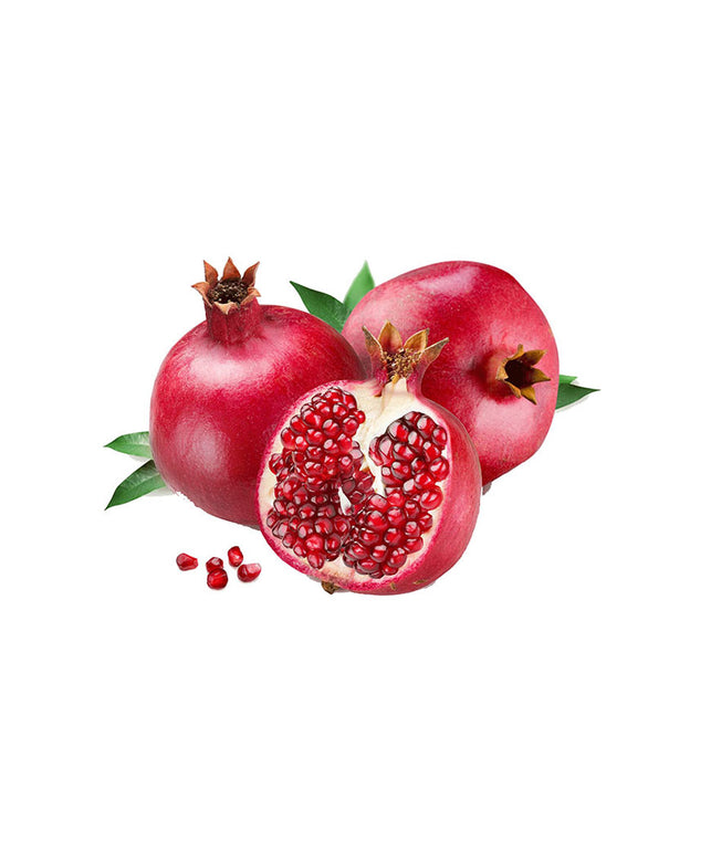 corporis suscipit libor