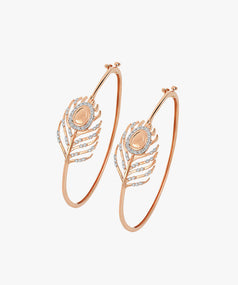 Culpa Quiocia Desunt