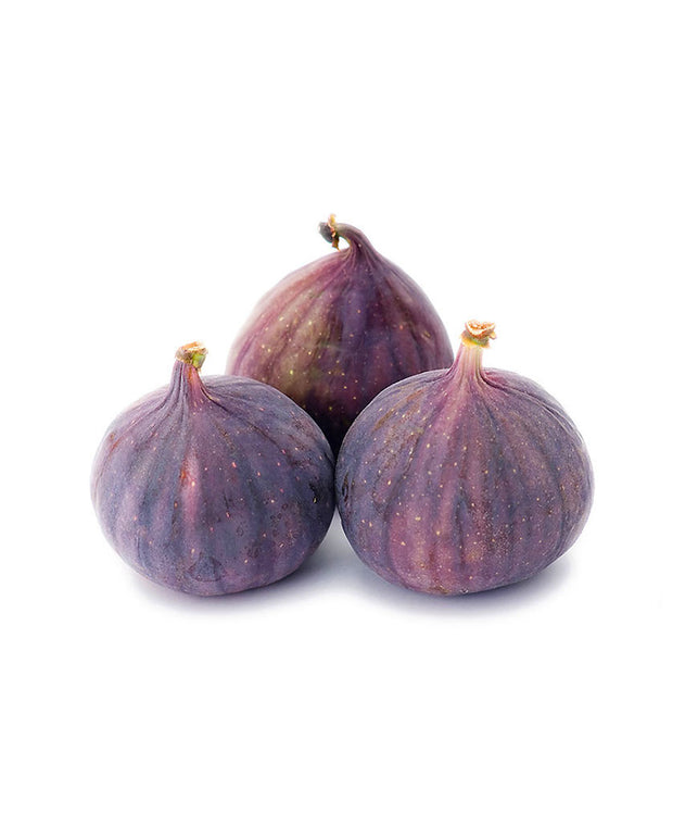 culpa quiocia desunt