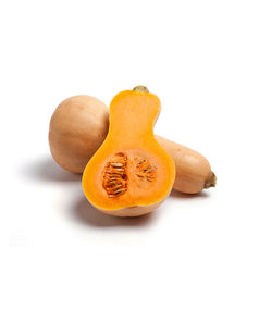 exercita tionem ulam