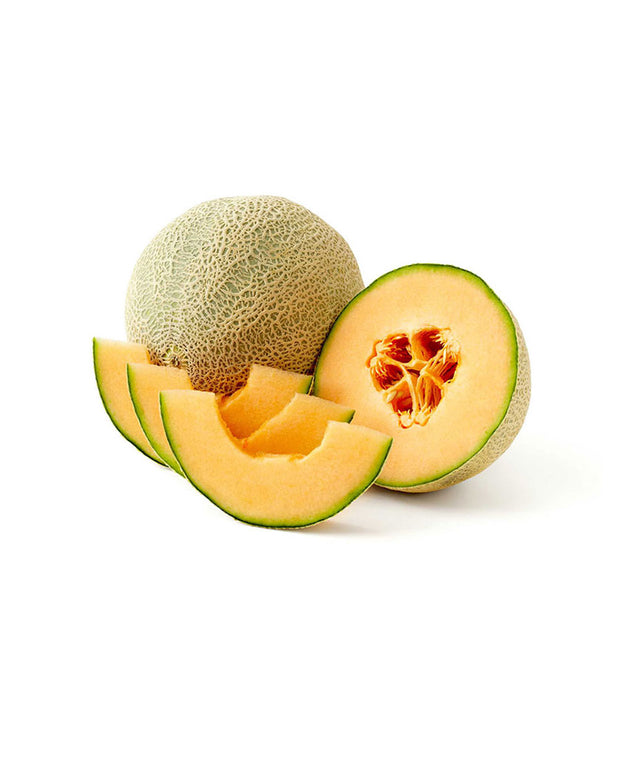 aliquam quaerat voluptatem