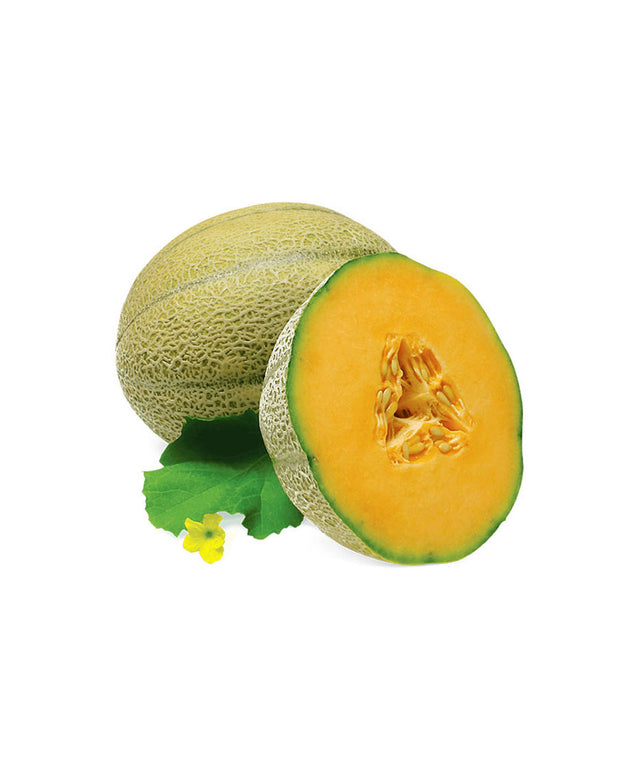 culpa quiocia desunt