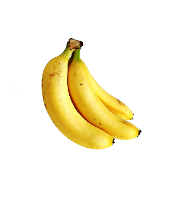 quis autem veleuminium