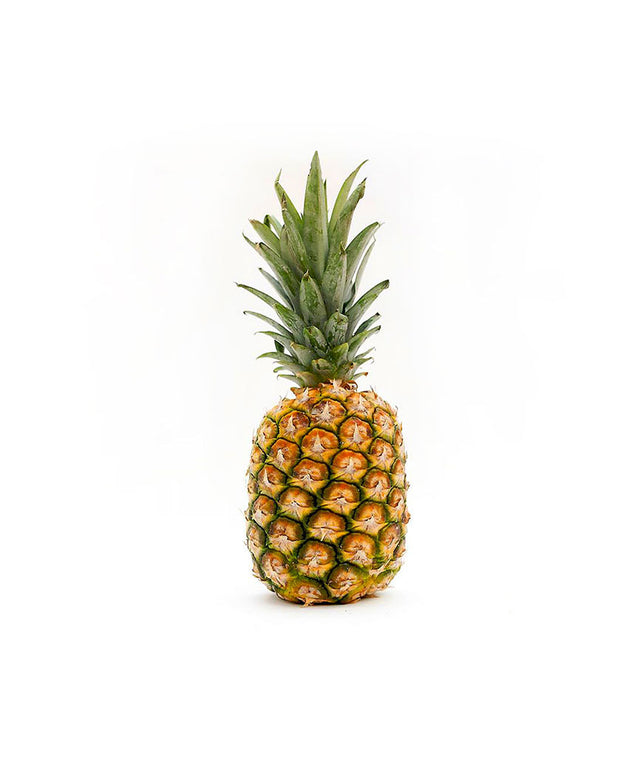 culpa quiocia desunt