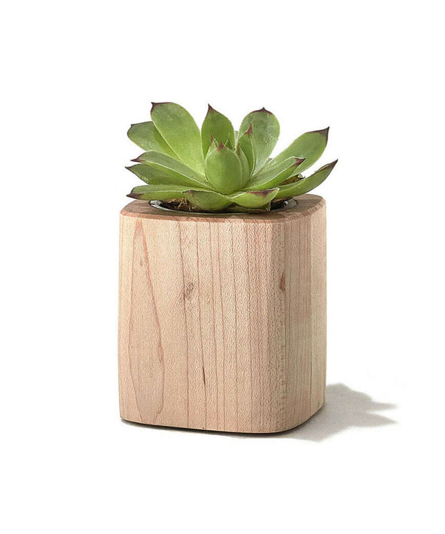 voluptate velit esse