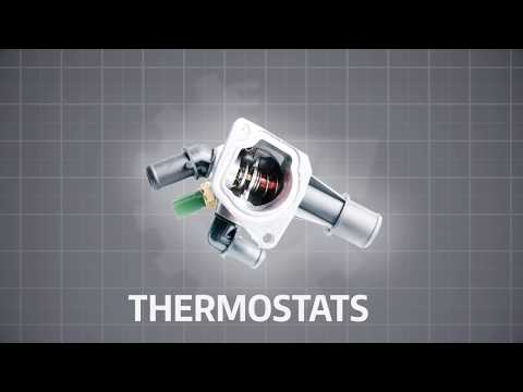 corporis suscipit libor